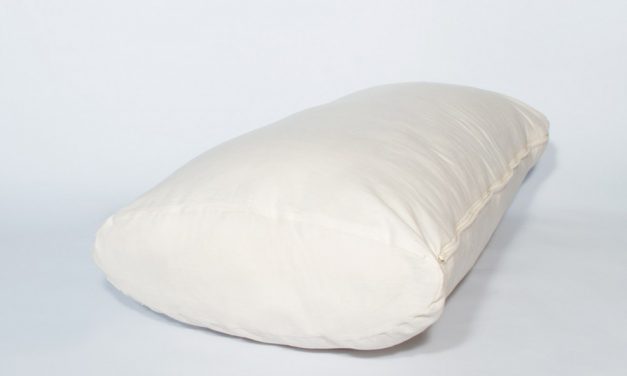 Bomull & latex kudde från tyska Futonwerk (60x40cm)