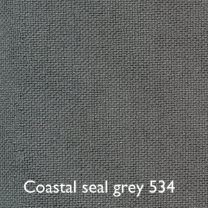 Coastal seal grey 534