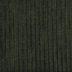 Cicaly forest 907