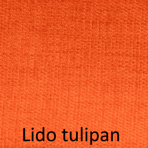 Lido tulipan