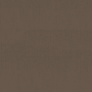 Coastal slate brown 536