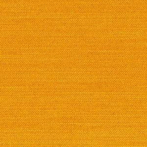 Elegance-Burned-curry-507
