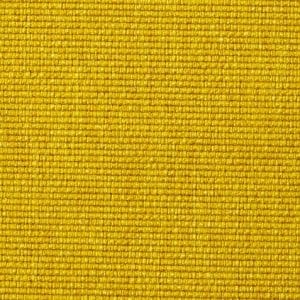 Soft-Mustard-Flower-554