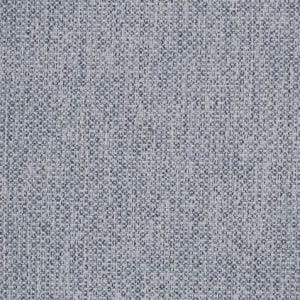 583-Argus-Grey