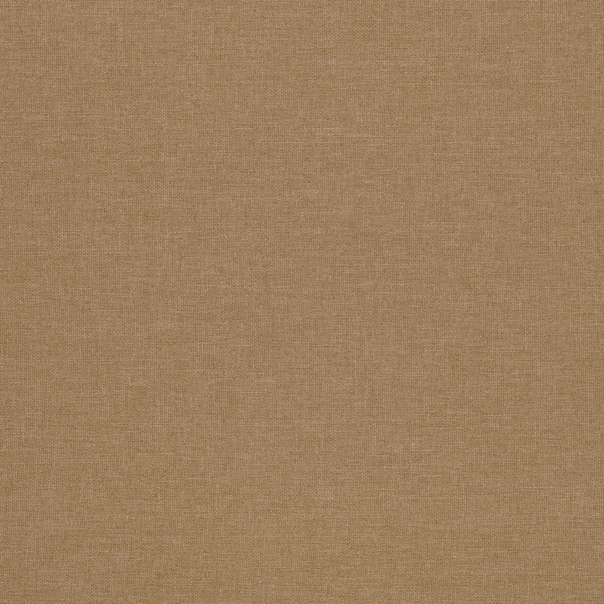 31 Ljusbrun / Light brown