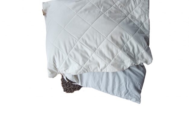 Bovetekudde med ekologiskt innehåll 50 x 70cm