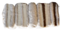 Allt inom Futon 3
