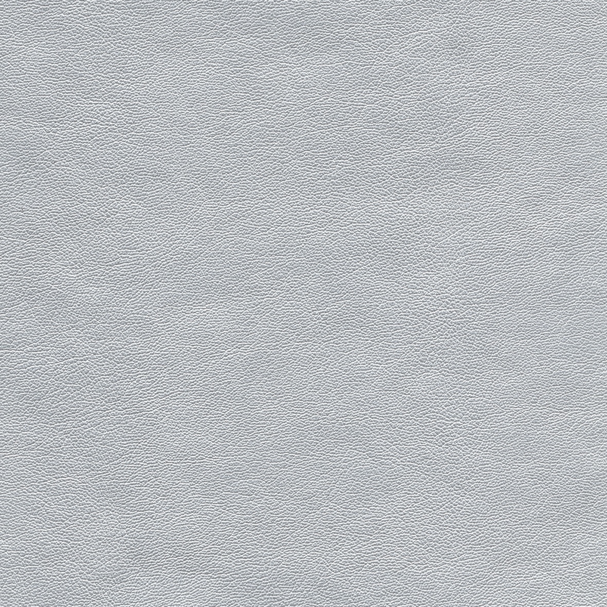 Silver-shine-688