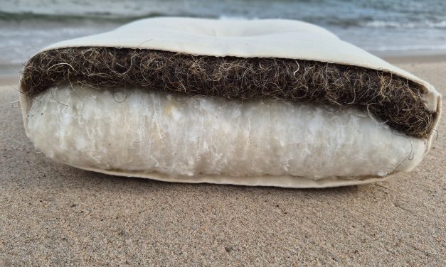 Tunn tagel futonmadrass med bomull och tagel 120 x 200cm Outlet